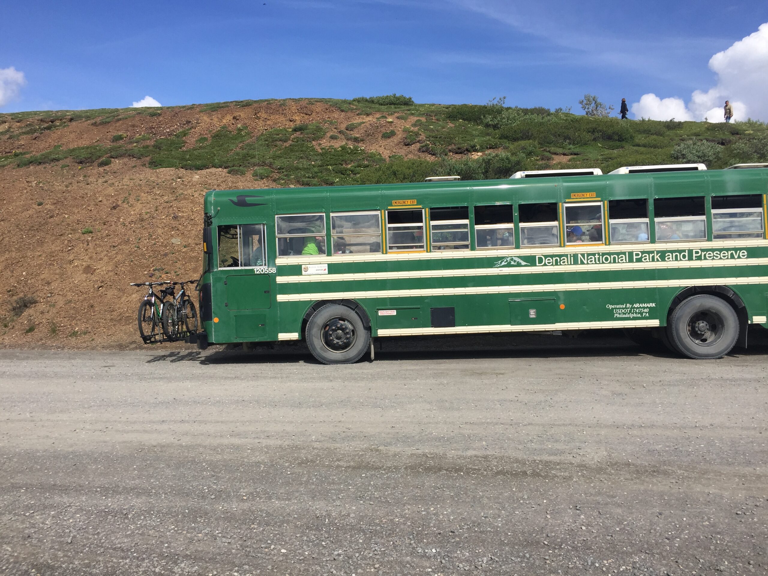 11 BEST THINGS TO DO IN DENALI NATIONAL PARK FREE PAID intelligence overview